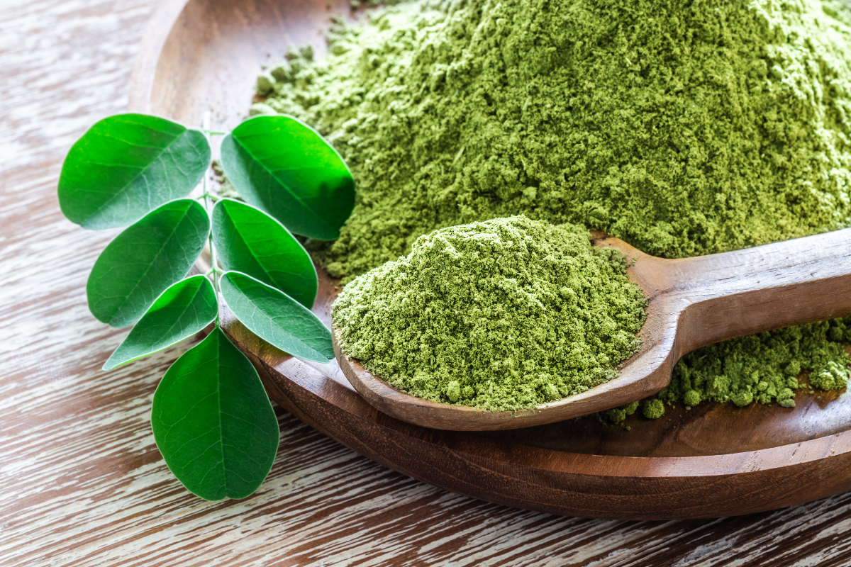 Moringa Powder Exporter from India