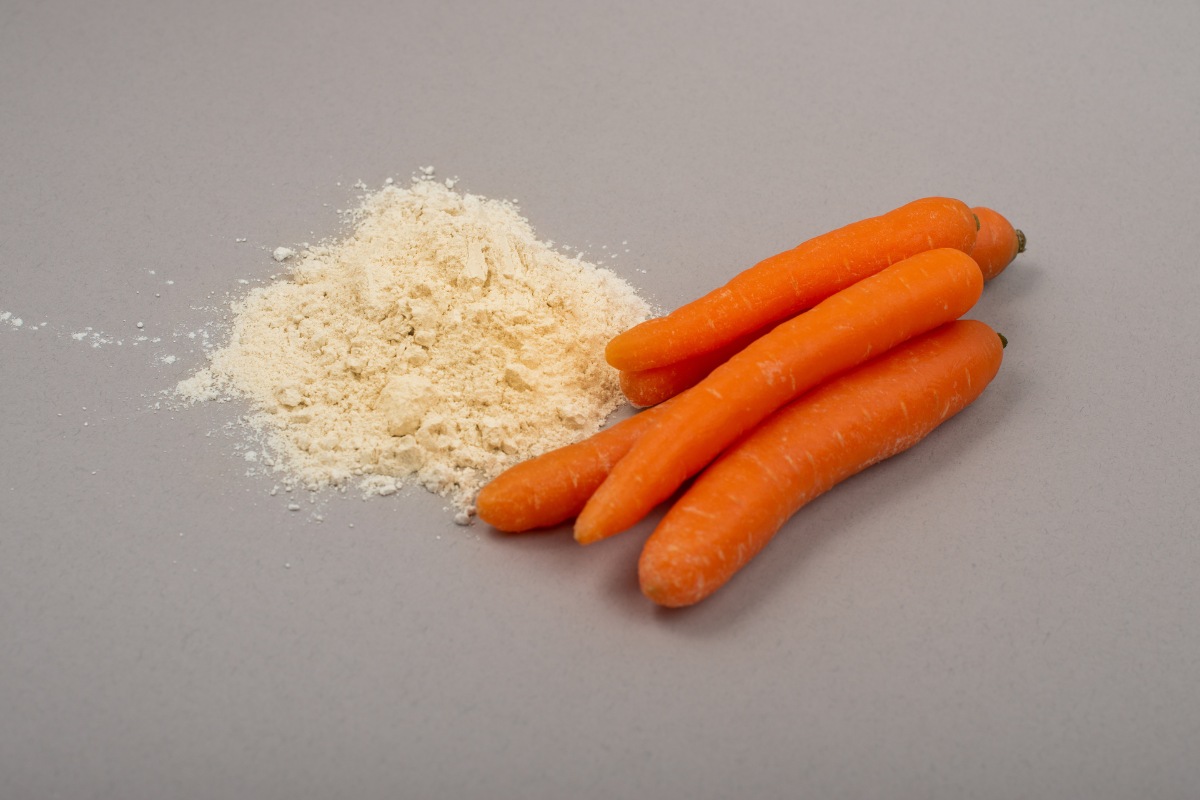 Premium Carrot Powder Exporter from India